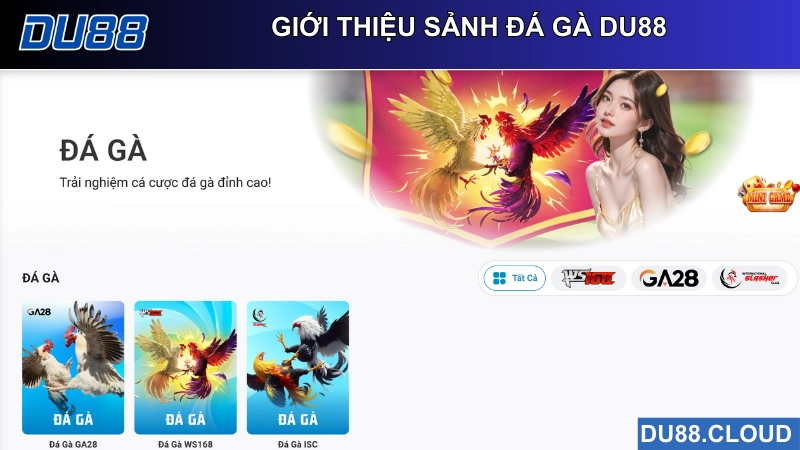 giới thiệu sảnh đá gà du88